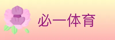 必一体育 Logo